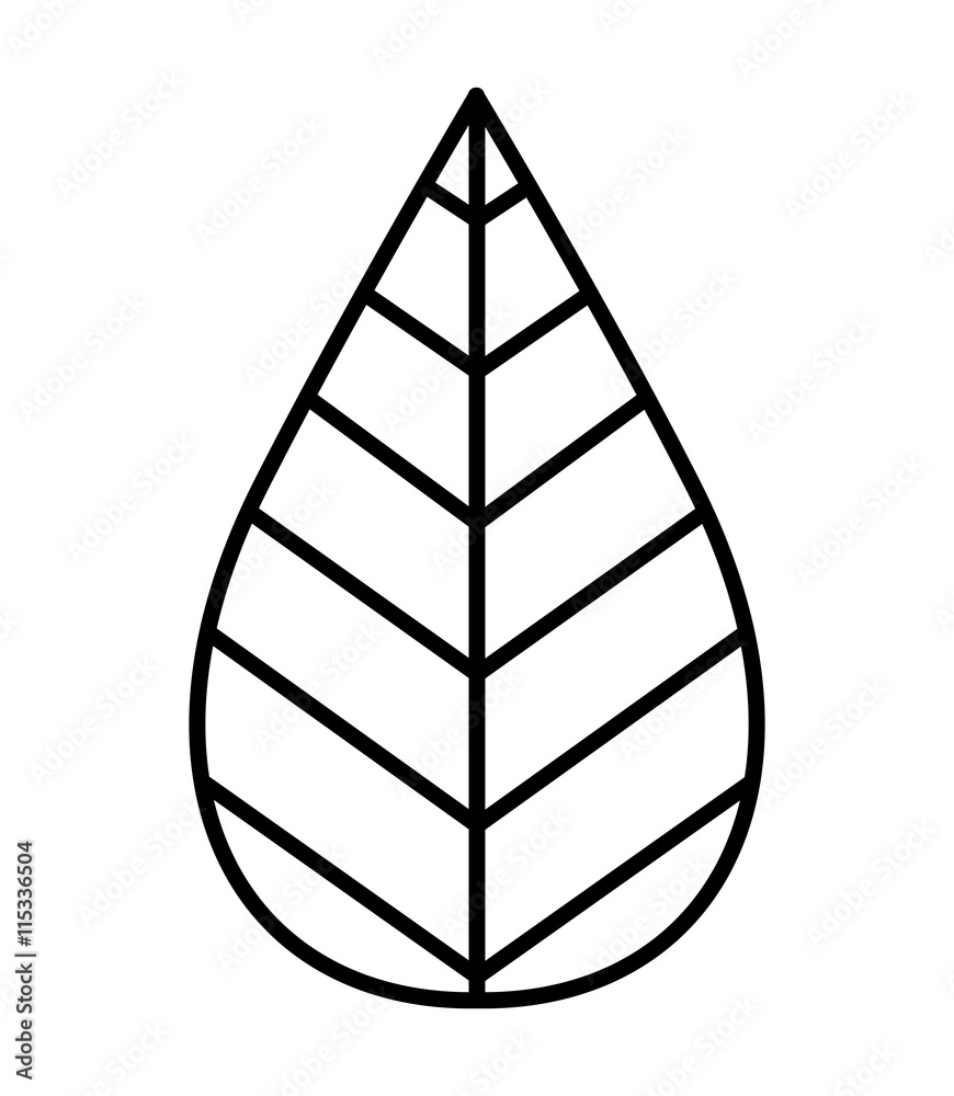 Mint leaves isolated icon design Mint leaves isolated icon design