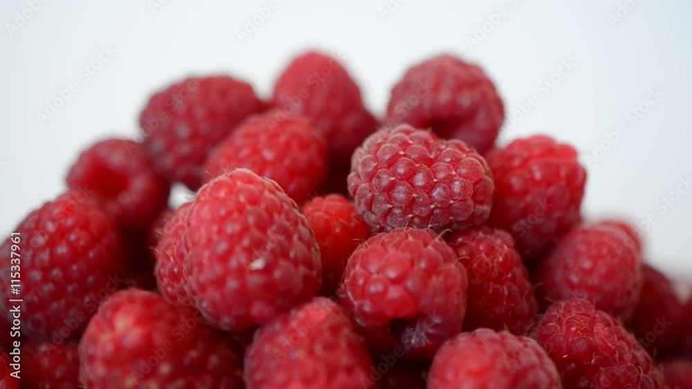 Shooting of raspberry. Summer berries. Shooting of raspberry. Summer berries.