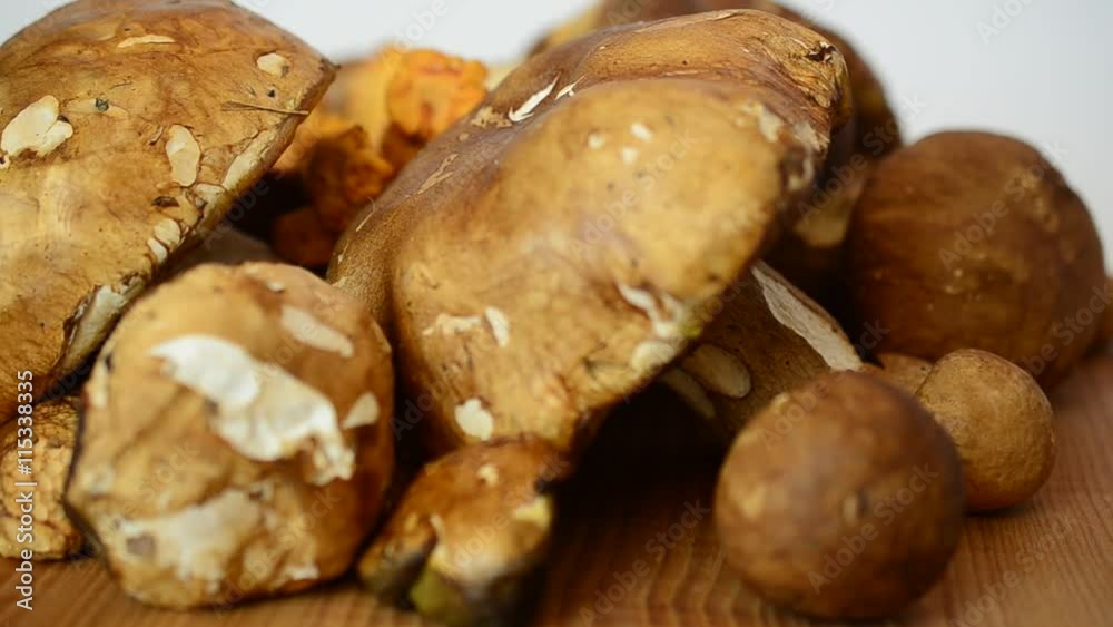 Boletus edulis and Cantharellus. Mushrooms. Boletus edulis and Cantharellus. Mushrooms.