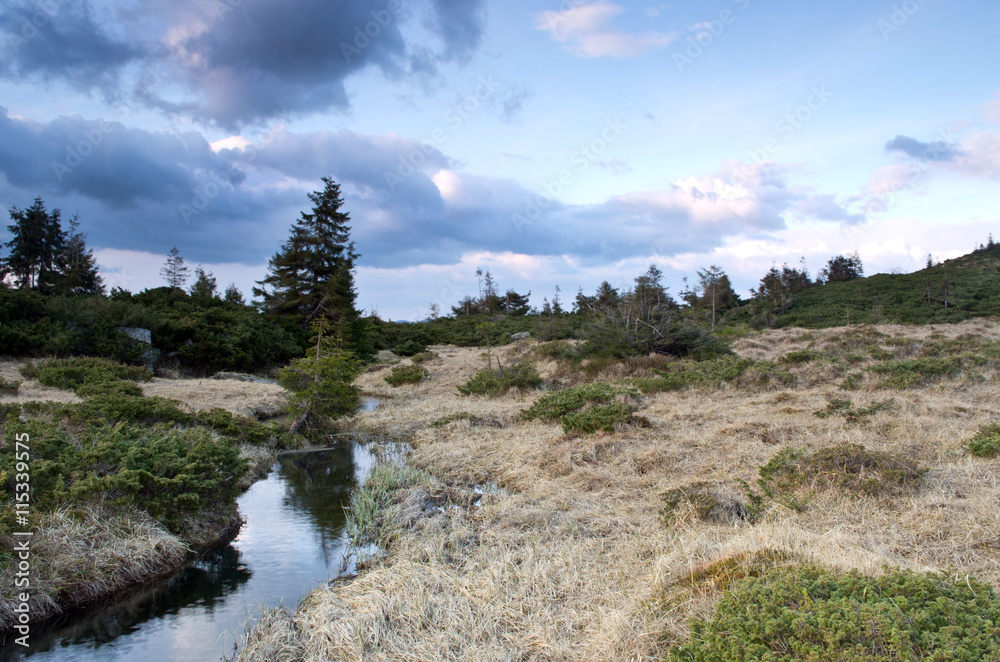 Beauty of Northern nature. Mountain river in spring landscape