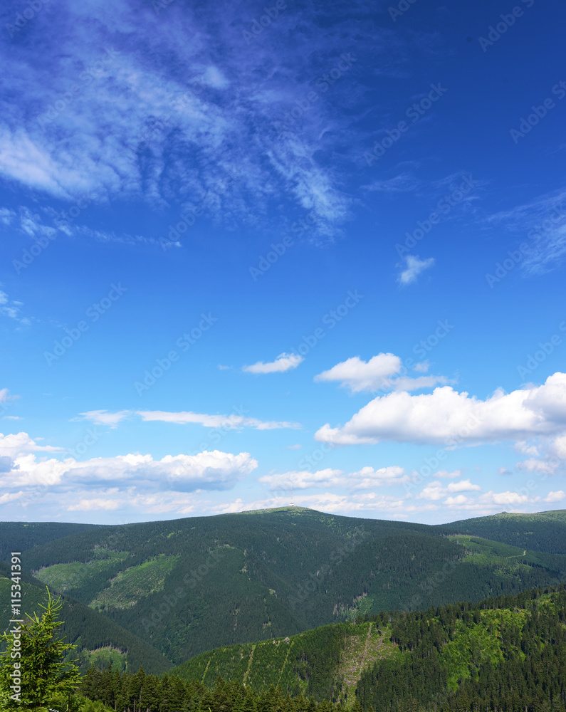 Fototapeta premium Jeseniky mountains in nice summer day