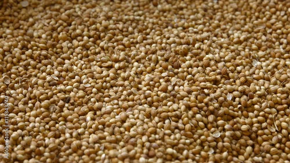 Big pile of dry coriander seeds for sale by the kilogram, in bulk, at a stall in a public market. Big pile of dry coriander seeds for sale by the kilogram, in bulk, at a stall in a public market.
