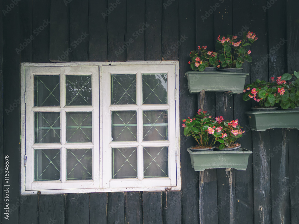 Windows and flower
