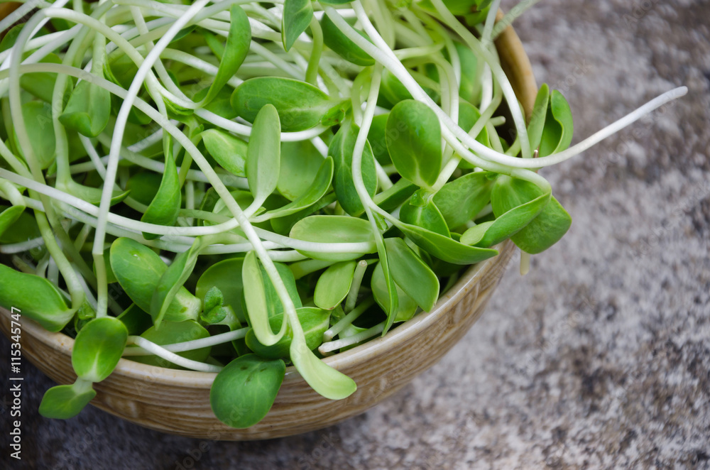 Fresh Sunflower Sprouts In Ceramic Bowl. Fresh Sunflower Sprouts In Ceramic Bowl.