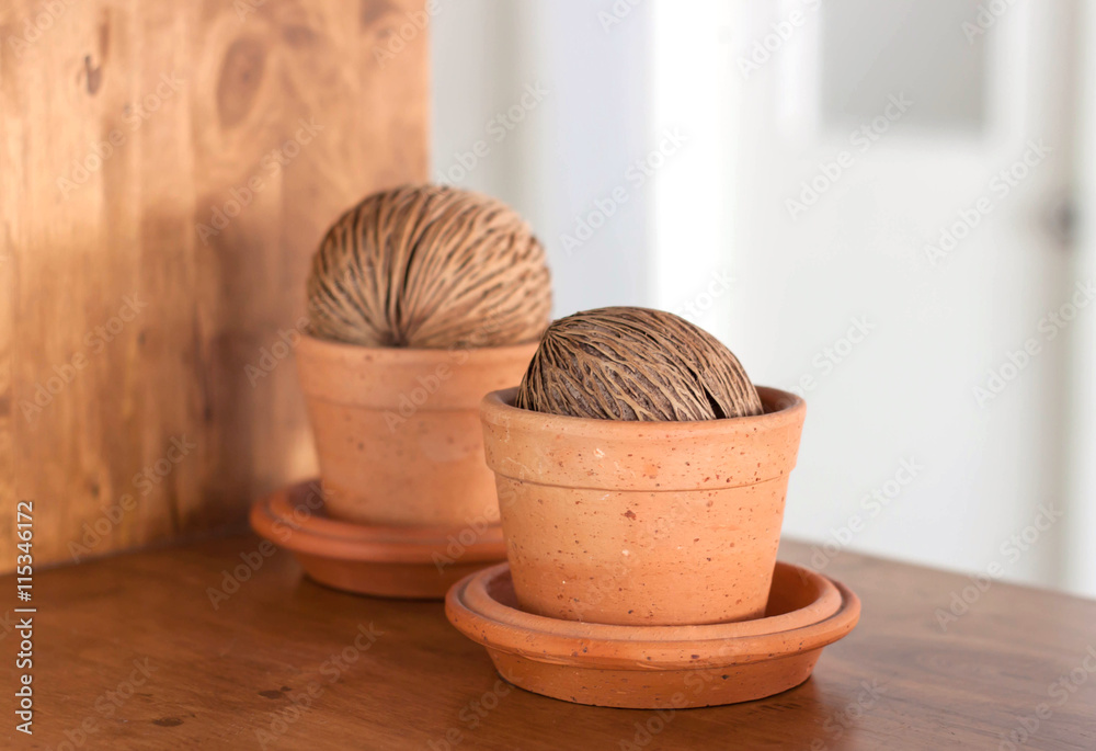 Cerbera odollam Gaertn seed in flower pots. Cerbera odollam Gaertn seed in flower pots.