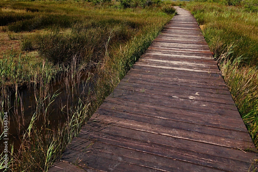 Wooden plank path across salty marsh in Nin, Croatia