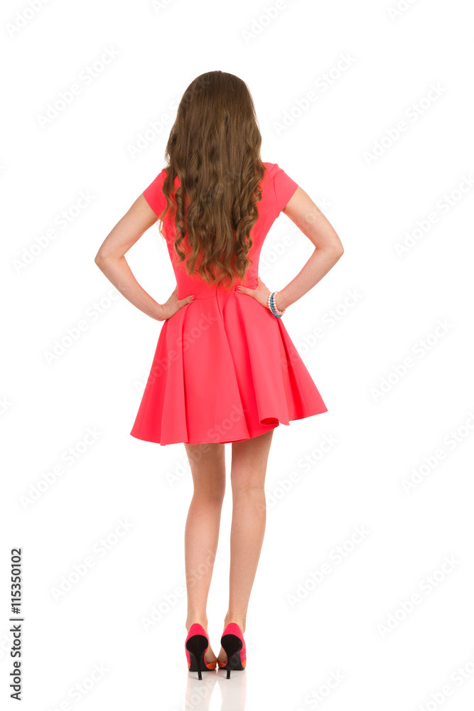 Long Haired Woman In Pink Mini Dress. Rear View.