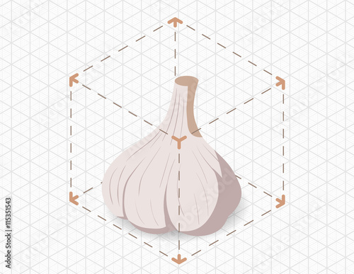 isometric garlic in bounding box