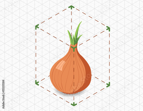 isometric onion in bounding box