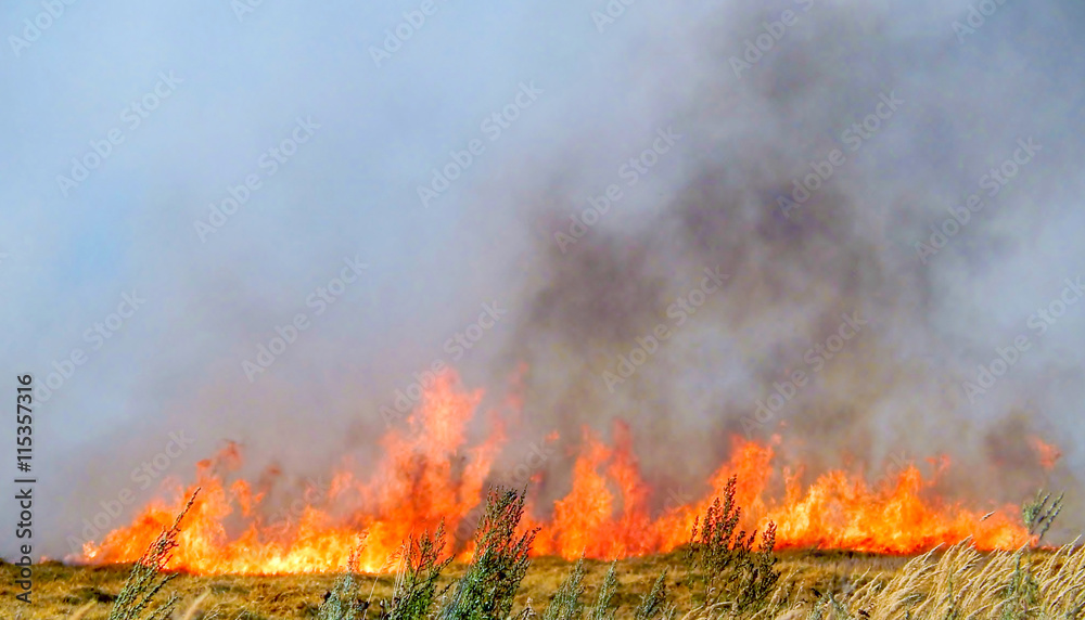 Fire rages on peat fields. 