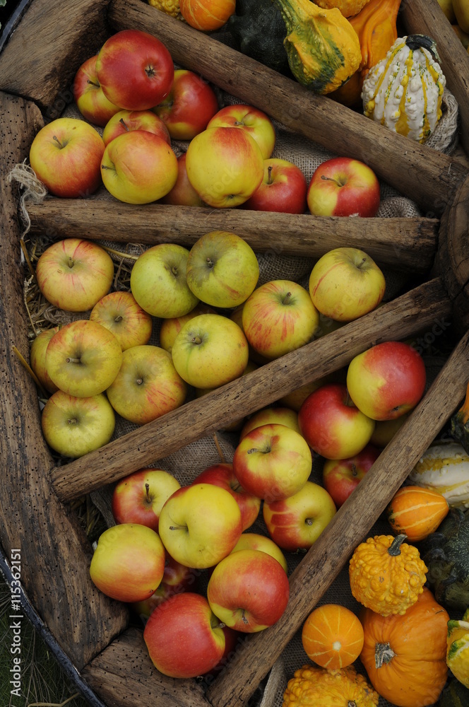 Wagenrad mit Obst Wagenrad mit Obst