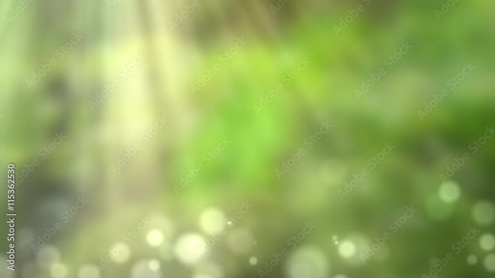 背景素材_森林 背景素材_森林