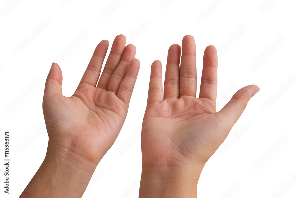 Woman hand isolated on white background Woman hand isolated on white background