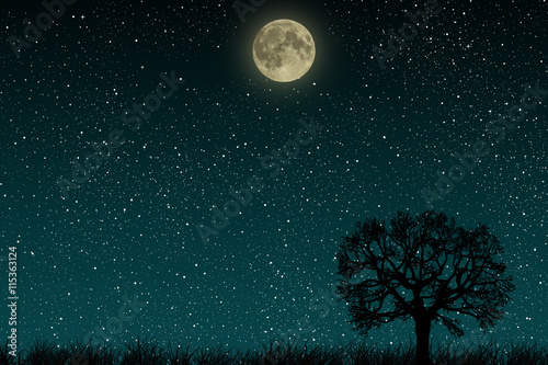 Beautiful blue night starry sky with full moon and lonely tree growing