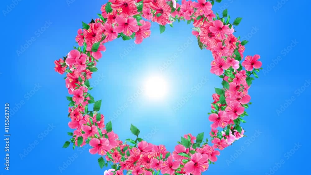 咲き乱れる花_ハイビスカス_円2
