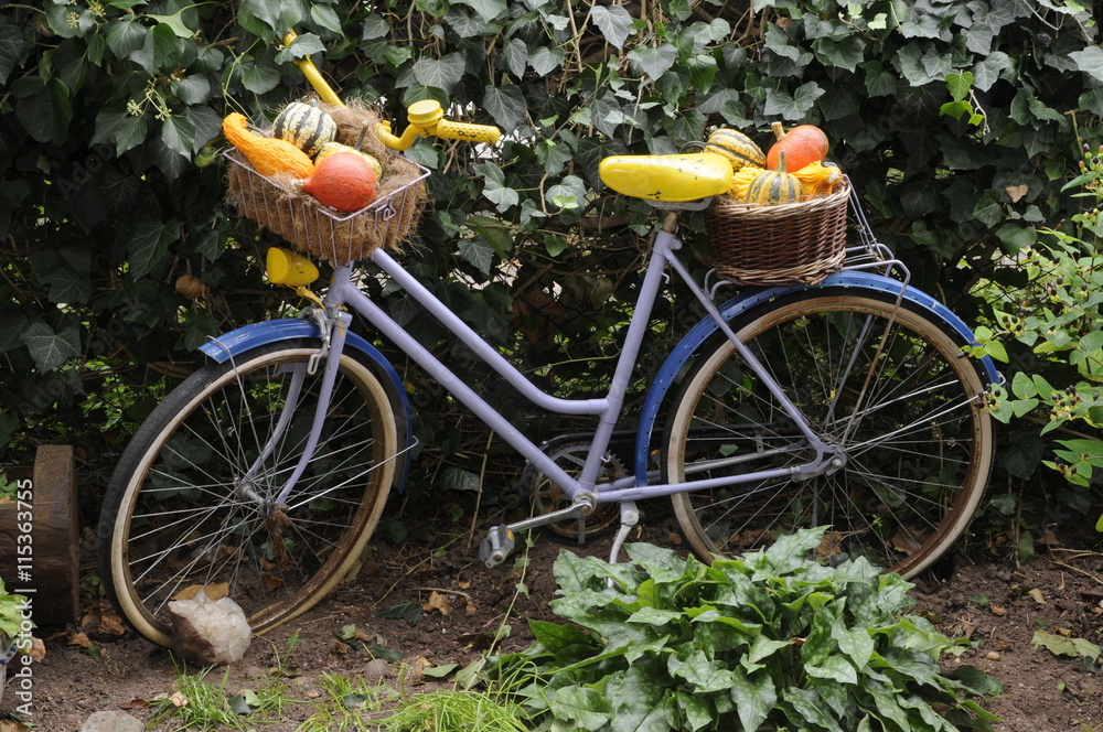 Fahrrad mit Zierkürbissen