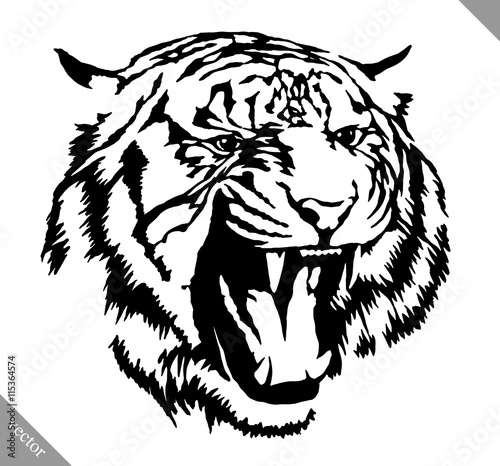 Fototapeta Naklejka Na Ścianę i Meble -  black and white ink draw tiger vector illustration