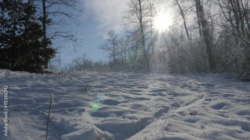 Forest on Kraljevica park hill snowed under 4K 2160p UHD footage - Hills and trees near town of Zajecar covered with snow 4K 3840X2160 UHD video  photo