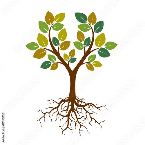 Color Tree and roots. Vector Illustration.