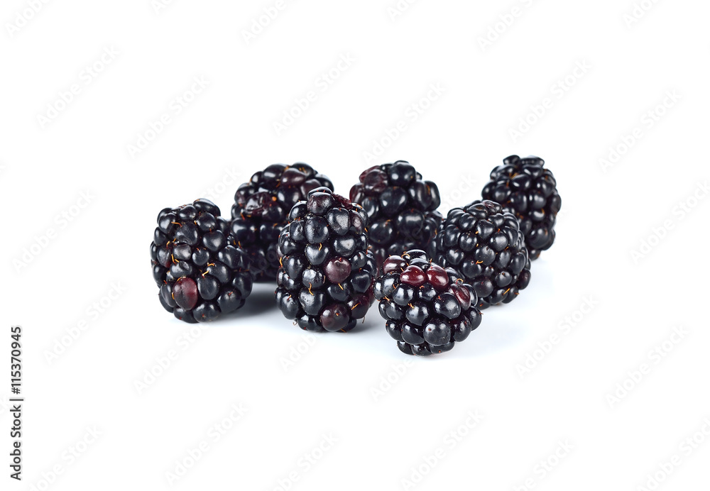 blackberries on white background blackberries on white background