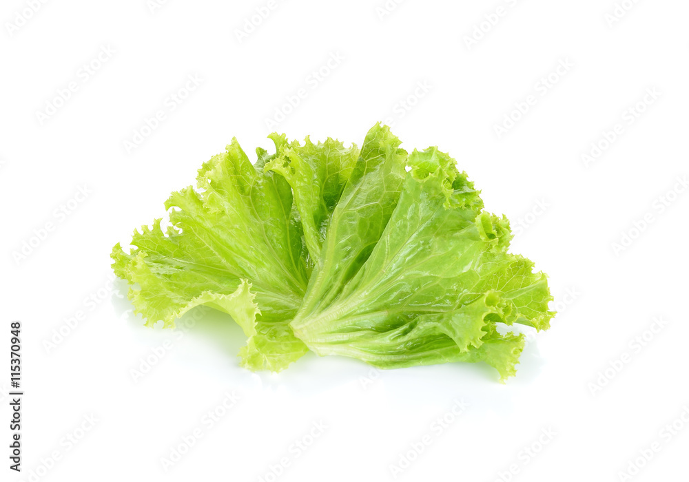 Salad leaf. Lettuce isolated on white background Salad leaf. Lettuce isolated on white background