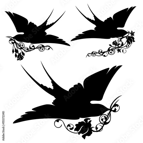 swallow birds and rose flowers