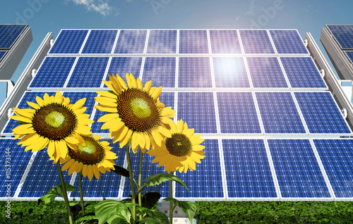 Solarmodul und Sonnenblumen