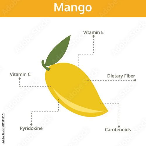 mango nutrient of facts and health benefits, info graphic fruit