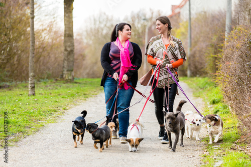 Foto Dog sitters walking their customers