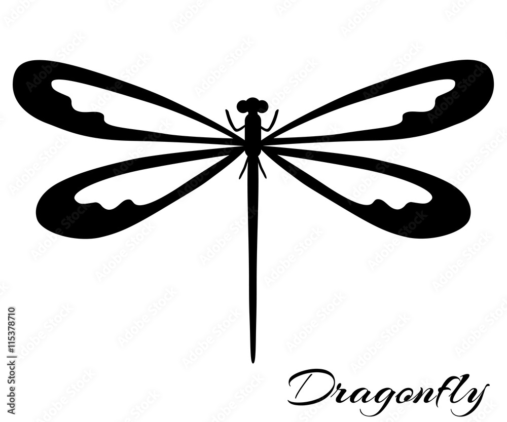 Black and white dragonfly - obrazy, fototapety, plakaty 