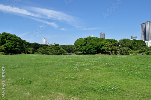 都会の公園と青空 © hideky