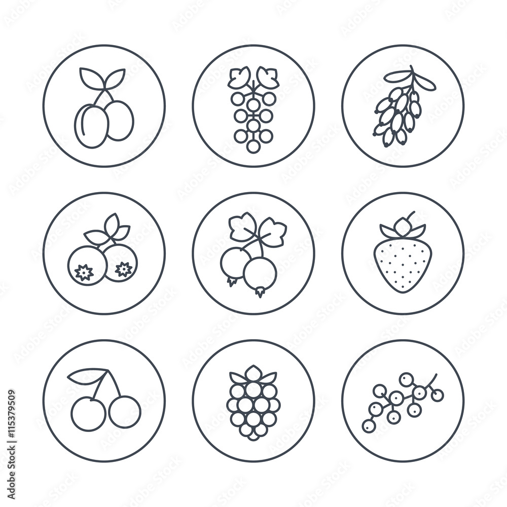 Berries line icons in circles on white, vector illustration Berries line icons in circles on white, vector illustration