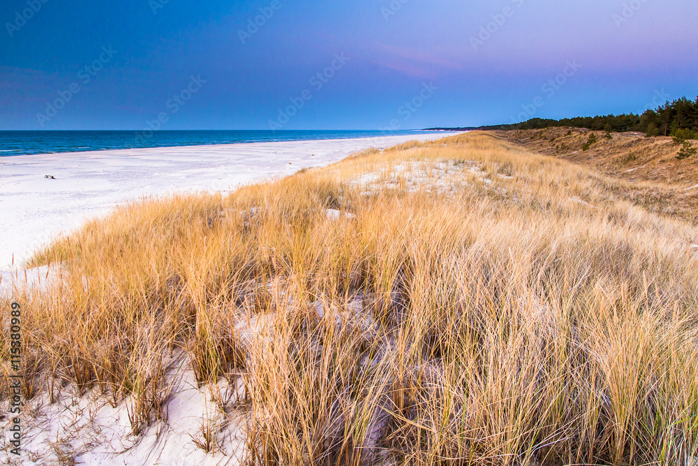 beautiful view of the coastal dunes beautiful view of the coastal dunes