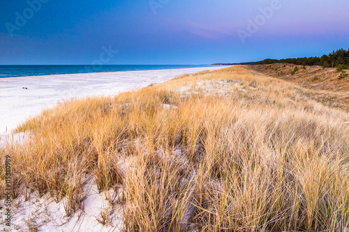 beautiful view of the coastal dunes