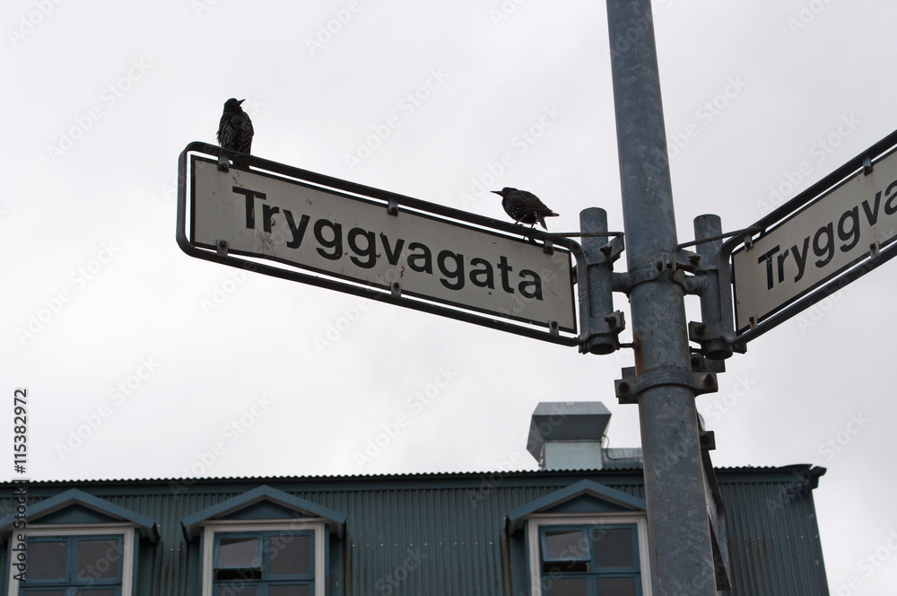 Reykjavik, Islanda: uccelli sul cartello di una via il 30 agosto 2012 Reykjavik, Islanda: uccelli sul cartello di una via il 30 agosto 2012