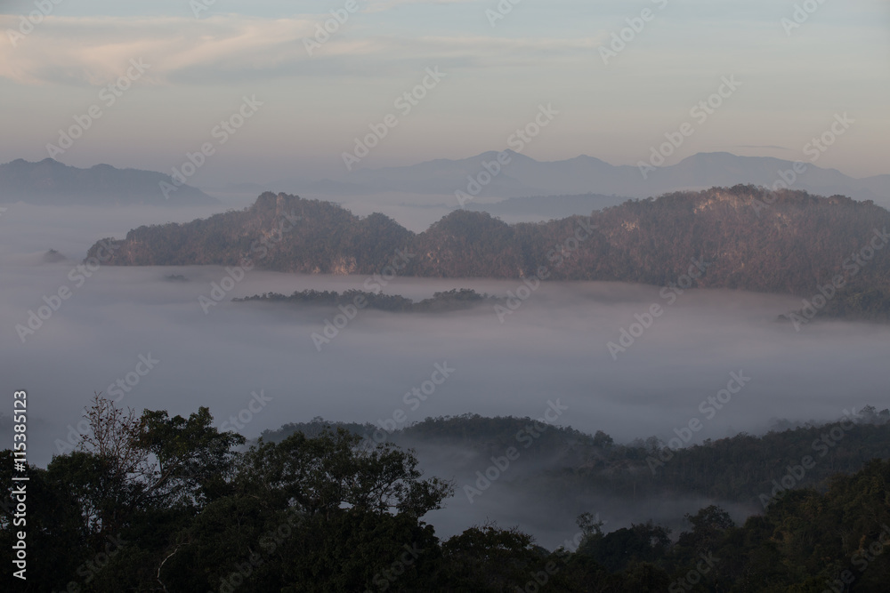 Fog mountain in the early morning sunrise