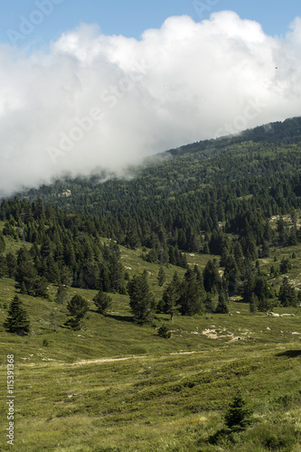 Manzara
