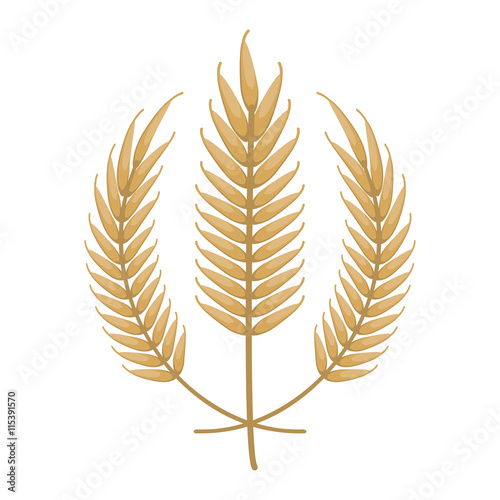 Wheat spike icon design Isolated vector illustration