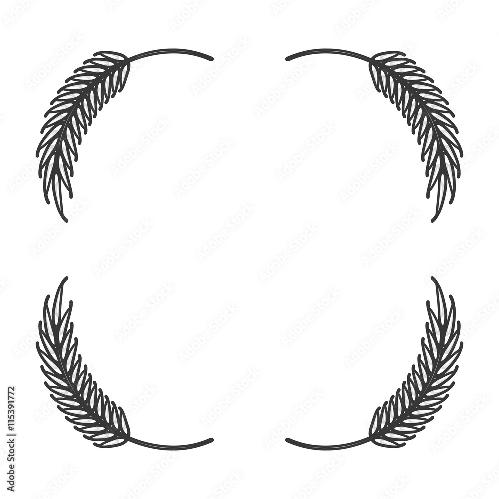 Wheat spike icon design Isolated vector illustration Wheat spike icon design Isolated vector illustration