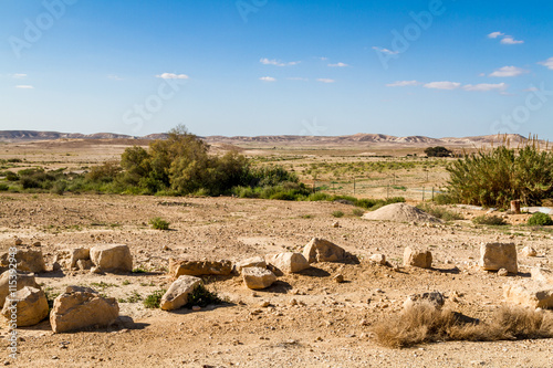 Makhtesh Gadol, Negev desert in the early spring, Israel