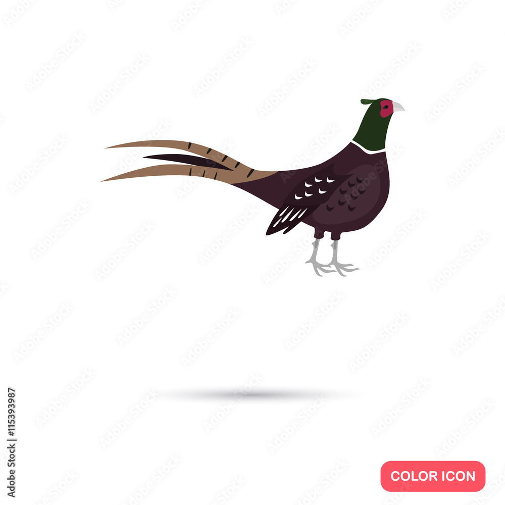 Obraz na plátně Pheasant color flat icon