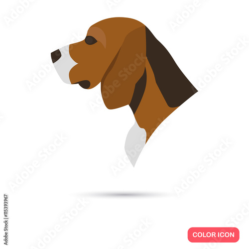 Beagle hunter dog color flat icon