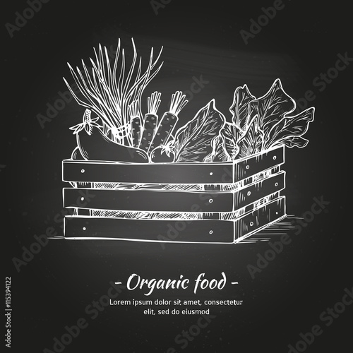Hand drawn vector illustration - Fresh vegetables. Supermarket. Grocery. Support local farmers. Eco