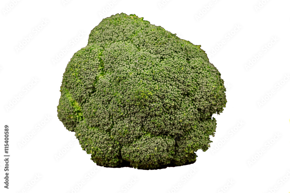 Broccoli isolated on white background Broccoli isolated on white background