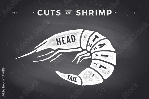 Cut of meat set. Poster Butcher diagram and scheme - Shrimp. Vintage typographic hand-drawn visual guide for butcher shop on chalk black background. Vector illustration