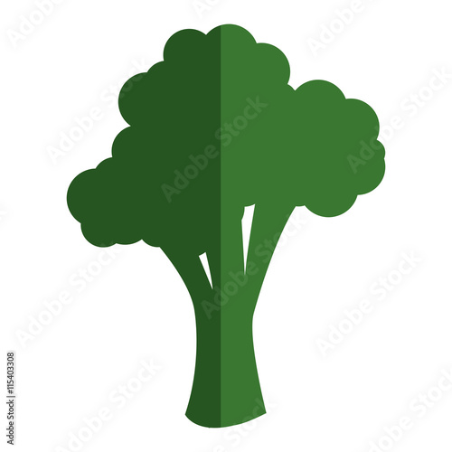 flat design whole broccoli icon vector illustration