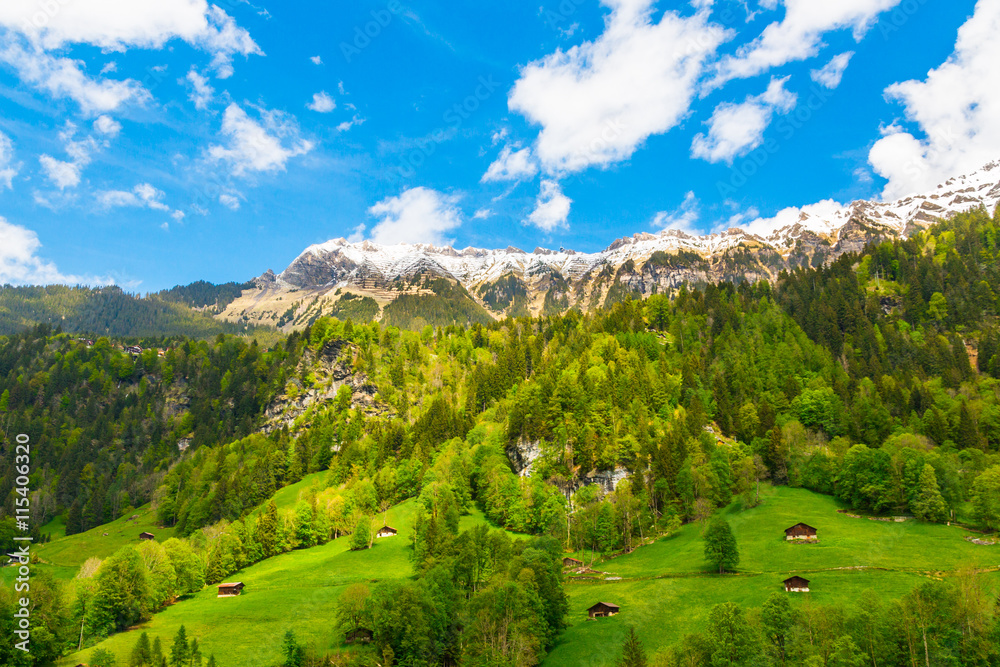 Chalets on green mountain slope. Swiss Alps. Lauterbrunnen, Swit