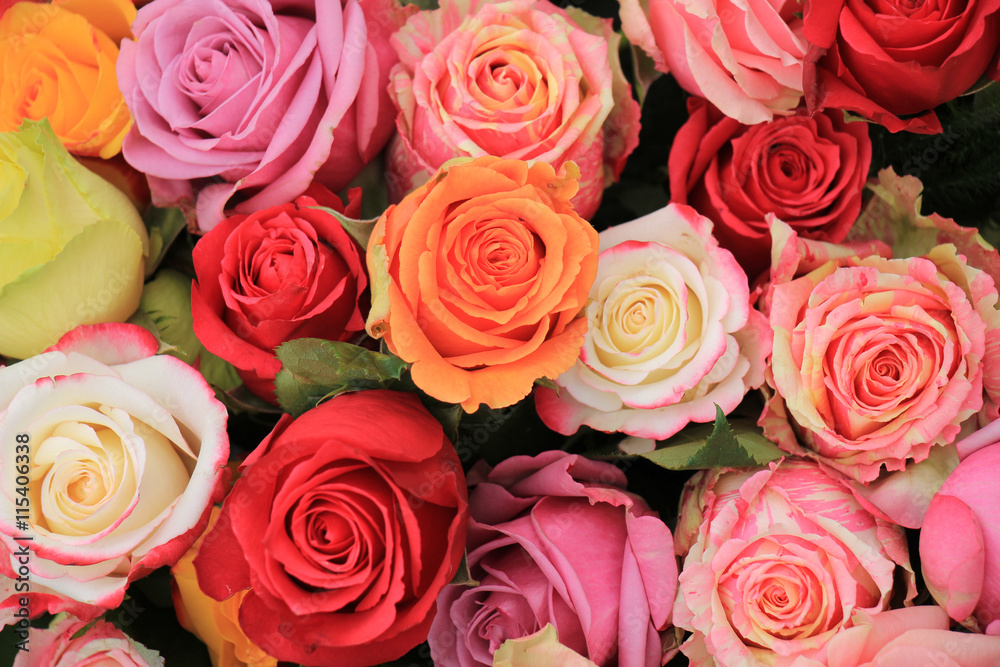 Fototapeta premium Multicolored wedding roses