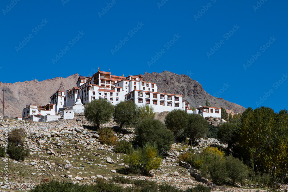 Likir Monastery Ladakh ,India