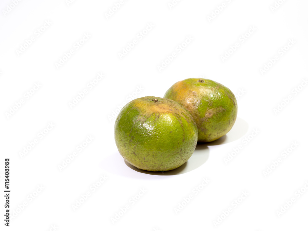 orange fruits on white background orange fruits on white background